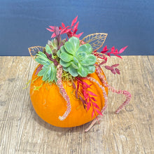 Load image into Gallery viewer, Succulent Pumpkin