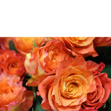 Load image into Gallery viewer, Swank Six - The Blooming Idea