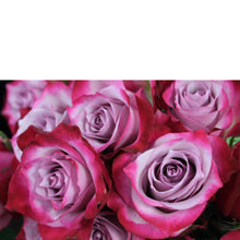 Load image into Gallery viewer, Swank Six - The Blooming Idea Florst - The Woodlands, Texas
